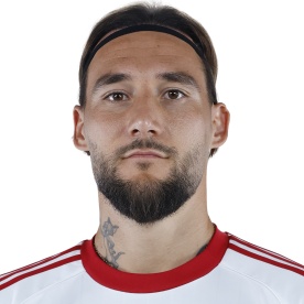 Nemanja Gudelj