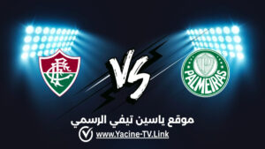 تفاصيل وموعد مباراة فلومينينسي ضد بالميراس اليوم 2026/10/15 ضمن كوبا ليبرتادوريس تفاصيل وموعد مباراة فلومينينسي ضد بالميراس اليوم 2026/10/15 ضمن كوبا ليبرتادوريس